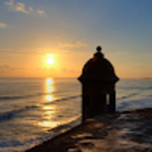 Meet your Posher, Janelle